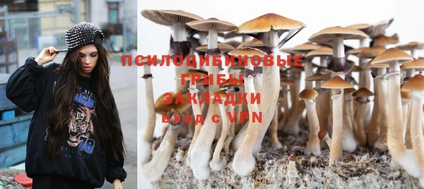 MESCALINE Инта