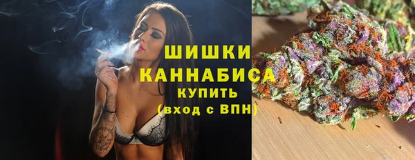 эйфоретик Иннополис